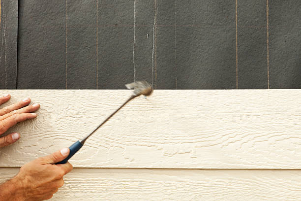 Best Siding Removal and Disposal  in Somerset, MD